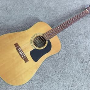 Washburn ds10 online