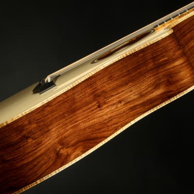 Taylor Custom GA - Honduran Rosewood/Adirondack image 19