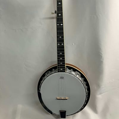 Danville 5-String Banjo image 1