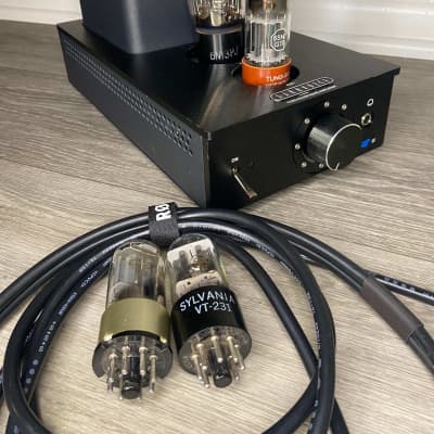 Darkvoice amp hotsell