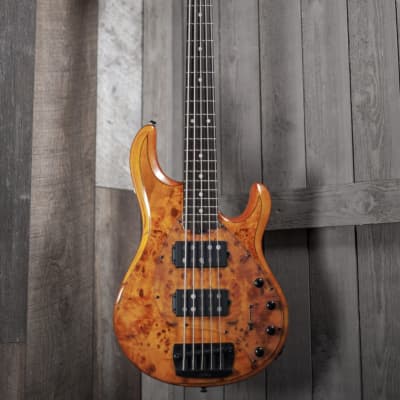 Sterling RAY35HH Electric Bass Guitar 5 String in Amber RAY35HHPB-AM- image 1