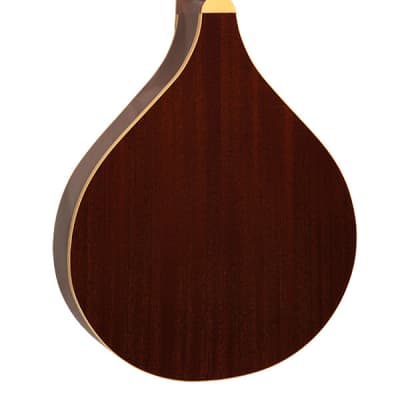 Gold Tone OM-800+ Arched Solid Spruce Top Octave & Mahogany Neck Mandolin with Hardshell Case image 3