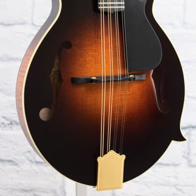 Pava F5 Custom Gloss Top Mandolin for sale