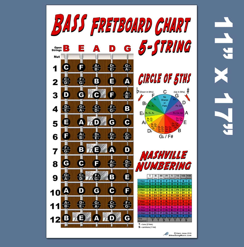 Laminated Ukulele Fretboard Notes & Easy Beginner Chord Chart 11x17  Instructional Poster for Soprano Concert Tenor Uke by A New Song Music