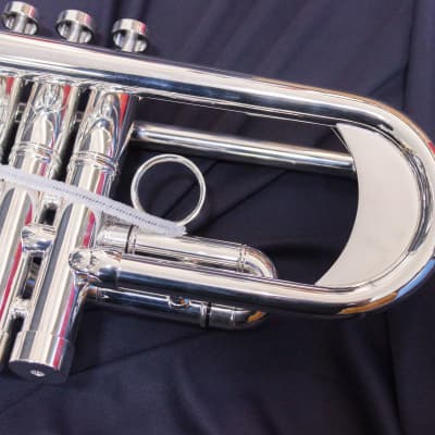 Trompeta Apolo Trumpet «Latino» Plateada image 9