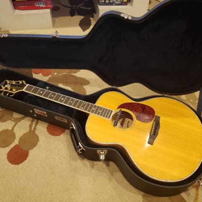 Triggs Acoustic 2014 with Three Pickups Installed for sale