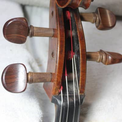 Italian Cello by Carlo Fiorini 1863 image 2