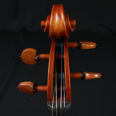 The Luthier Shop Adjusted 4/4 Size Beautiful Cello w/ Fiberglass Blue Case image 5