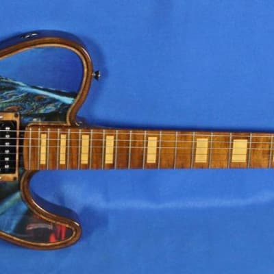 Walla Walla Guitar Company Maverick Pro Crystal Lady And The Cat Tele Guitar w/OHSC image 3