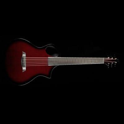 Composite Acoustics The Cargo Acoustic Guitar High Gloss