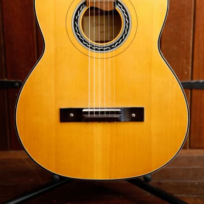 Morris W-25 Acoustic Guitar Made In Japan Pre-Owned | Reverb