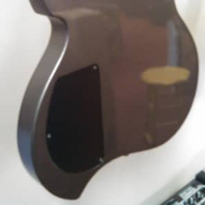 Samick CA2 Greg Bennett Cobra 