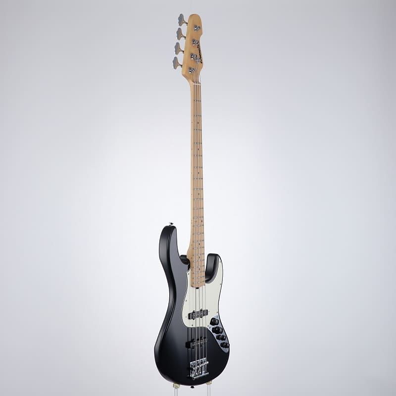 Edwards E-AM-120M Black [SN ED1227451] [05/19] | Reverb