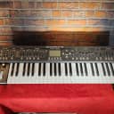 Behringer DeepMind 12 49-Key 12-Voice Polyphonic Analog Synth Super Cool