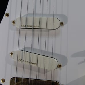 Fernandes The Function, with FGI active pickups, Japan | Reverb