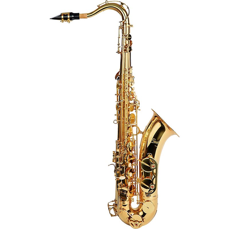 Etude ETS-200 Student Series Tenor Saxophone Lacquer image 1