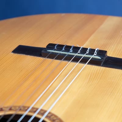 Giannini Craviola AWKNS6 / Nylon String and Bossa Ready! image 21