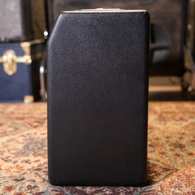 Fender Tone Master Princeton Reverb, 120V image 15