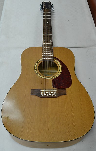 Simon and patrick shop 12 string cedar