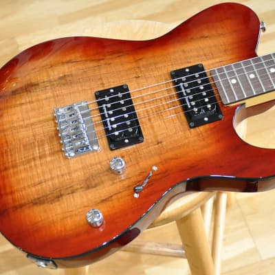 FGN J-Standard Iliad EW Koa / Telecaster Type / Made In Japan