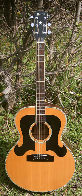 Morris WJ50 Everly Brothers Gibson J-180 Copy MIJ Jacaranda