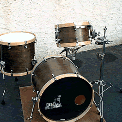 Black Cat Mark o’conell from Taking back sunday’s “where you want to be” custom drum kit image 1