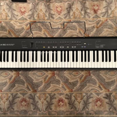 Roland A-30 76-Key Keyboard Controller 1992 - 1996 - Black