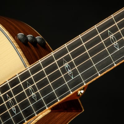 Taylor Custom GA - Honduran Rosewood/Adirondack image 9