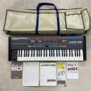 Roland Juno-106, in excellent condition, fully serviced ! softcase+documents