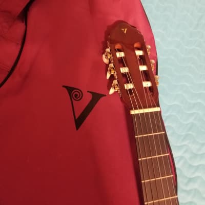 Valencia Nylon String Acoustic Guitar CG160, 1972 Blood | Reverb