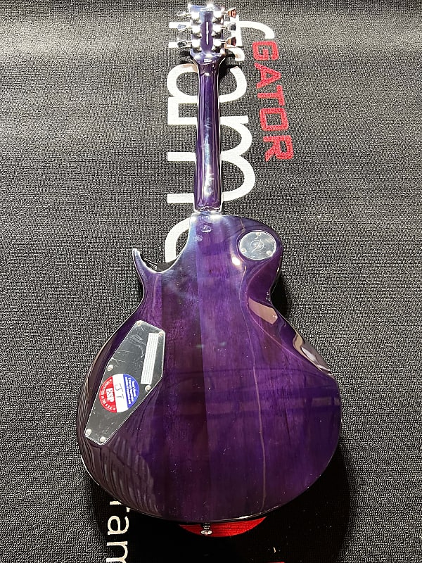 ESP LTD EC-256FM Electric Guitar - See Thru Purple Burst