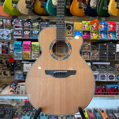 Takamine Santa Fe 30th Anniversary Limited Edition 2023 - Natural for sale