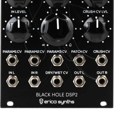 Erica Synths Black Hole DSP2 Multi-Effect Eurorack Module image 1