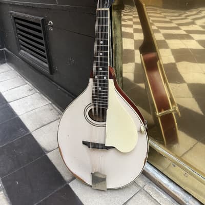Gibson Style A3 Mandolin 1920 - Ivory Top for sale