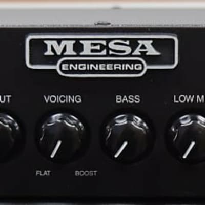 Mesa Boogie D-800 Bass Amp *In Stock! image 1