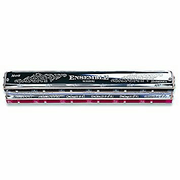 Suzuki SCH-24 Chord Harmonica 96-Notes, 24 Chords. Brand New! | Reverb