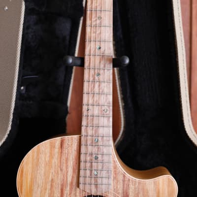Cole Clark AN2EC Blackwood/Blackwood Humbucker Dual-Output Guitar image 5