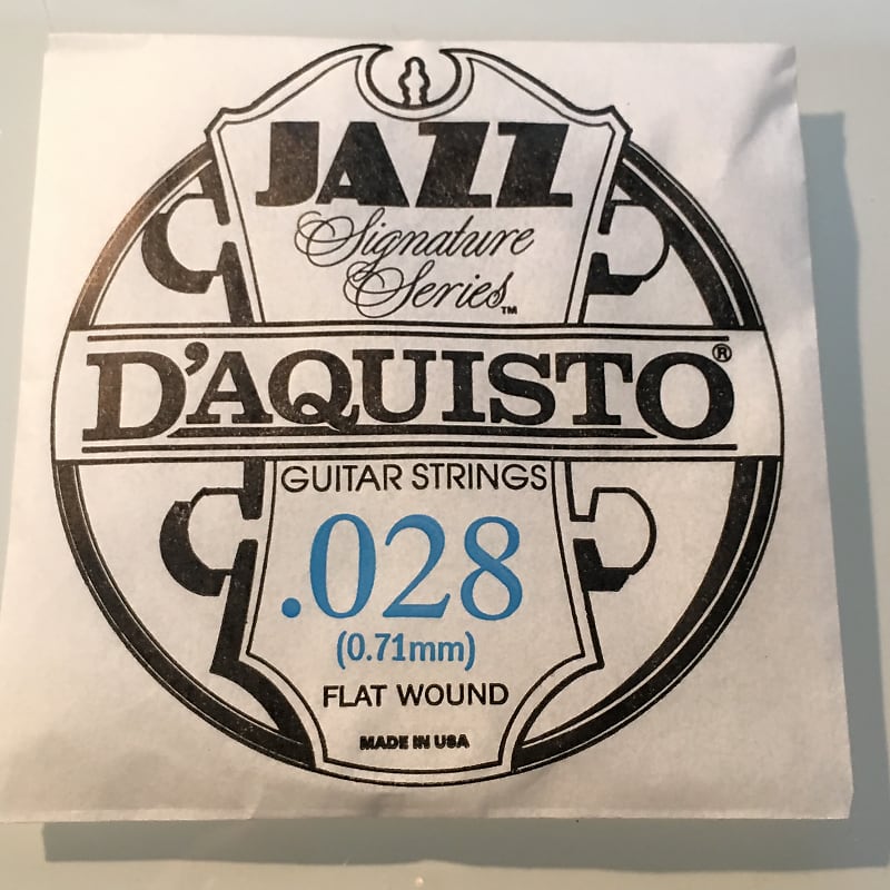 D'Aquisto RARE Jazz Signature Series String .028" Flatwound image 1