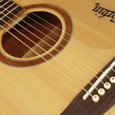 Corbin MDG360 Dreadnought Acoustic Guitar image 2