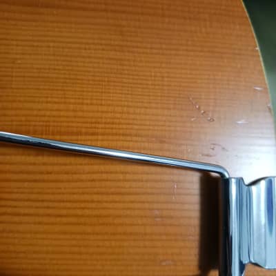 Philippe Berne 'Aperggione' 6 string guitarviol/cello 2011 - rosewood, spruce, maple image 14