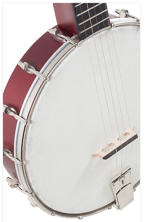 Recording King RKOH-05 | Dirty 30s Open Back Banjo. Brand New! image 1