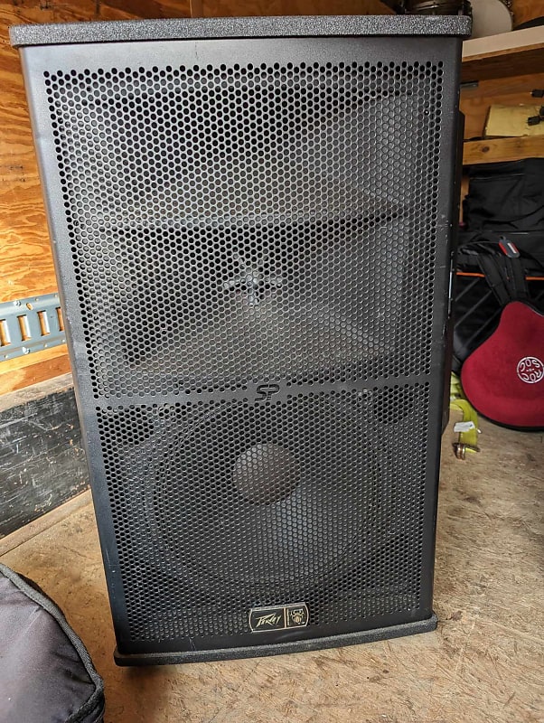 Peavey SP3 Speakers (pair) Reverb