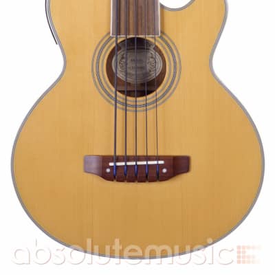 Washburn AB-35-FL 5 String Fretless Electro Acoustic Bass Guitar, Natural w Gig Bag for sale