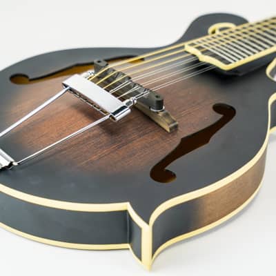 Gold Tone I-F12 Gold Tone F-Style 12-String Mando-Guitar w/ Foam Case image 14