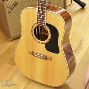 Washburn ds10 online