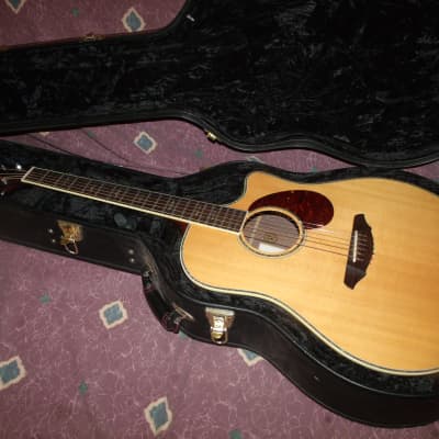 Breedlove D25/SRe Atlas Stage acoustic-electric guitar Excellent for sale
