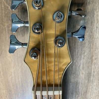 Michael Kelly Acoustic Bass Guitar - DragonflyFLN5 - 5 String Fretless - Hard Case - Lowest Price image 6