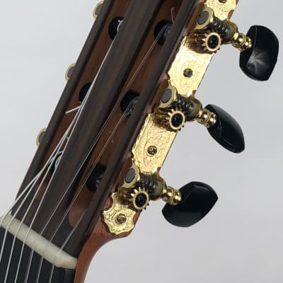 Montalvo 7 String Classical Guitar w/ Cutaway 2020 image 5