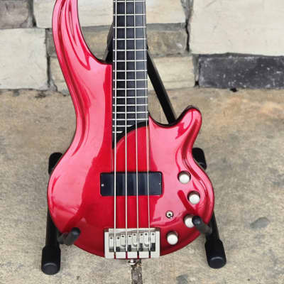 Cort Curbow 5 String Fretless Bass Burlwood Luthite body w Deluxe Gigbag  Included | Reverb