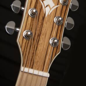 Washburn Woodcraft Series Acoustic Guitar - WCSD30SK image 7